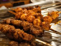 -福苗小骆驼烧烤(莲湖路店)