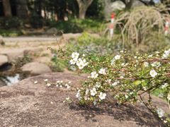 -中国茶叶博物馆(双峰馆区)