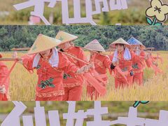 -句容茅山景区