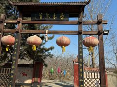 -香木香羊(小汤山店)