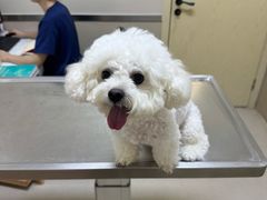 -爱妮康宠物医院·干细胞免疫细胞·肿瘤·心脏(张江店)