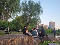 -南翔镇银翔湖公园