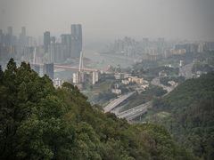 -南山植物园