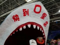 -天山海世界