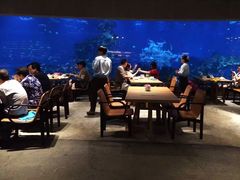 大堂-海棠湾洲际-涛·海底餐厅·美人鱼·自助餐·海底隧道
