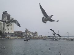 -大连圣亚海洋世界