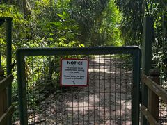 -武吉知马自然保护区