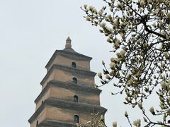 -大慈恩寺(大雁塔)