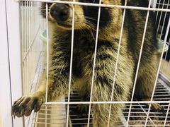 -平行世界·猫咖(首经贸店)