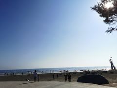 -江山半岛白浪滩景区