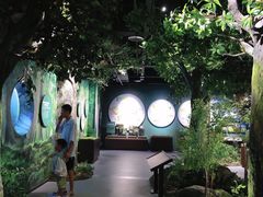 -缙云山景区