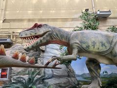 -国家自然博物馆