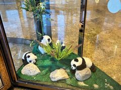 -成都保利公园皇冠假日酒店(熊猫基地店)