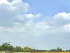 -汉长安城未央宫国家考古遗址公园