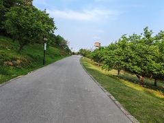 -苏州上方山国家森林公园