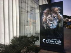 -罗红摄影艺术馆