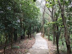 -滴水岩森林公园