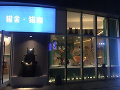 门面-飞行喵MR PILOT|猫舍·猫咖(静安大融城店)