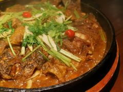 -老板恋上鱼(高新万达店)