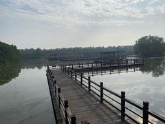 -大湾区中央湿地公园