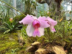 -国家植物园南园