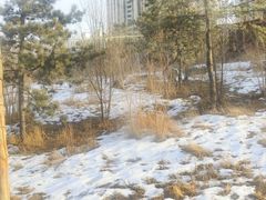 -太原动物园