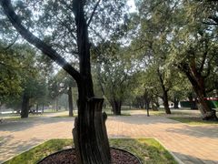 -北京市劳动人民文化宫(太庙)