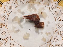 -百利鸽王(紫薇路店)