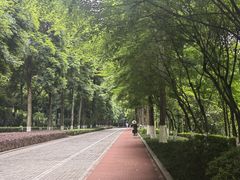 -龙头寺公园