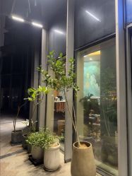 -娇玫荟SPA