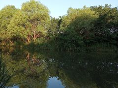 -新江湾城公园