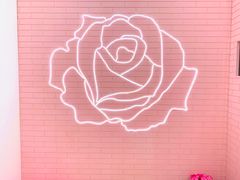 -Dior迪奥(上海世茂广场店)
