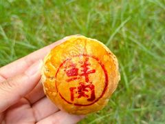 -新雅粤菜馆(南京东路店)