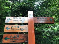 -花溪风景区
