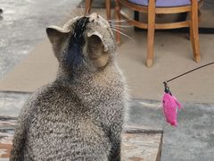 -中山喜来登酒店