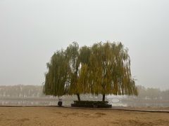 -大兴滨河森林公园