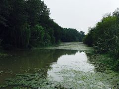 -溱湖国家湿地公园