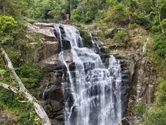 -海南热带雨林国家公园吊罗山景区