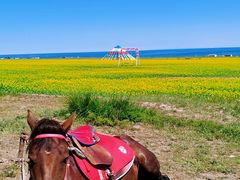-青海湖国家重点风景名胜区