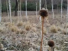 -北京雁栖湖国际会展中心