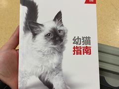 -瑞派·关忠动物医院·猫专科·犬专科(三环新城店)