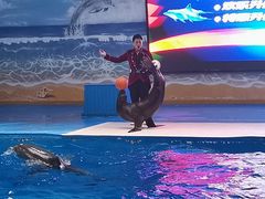 -锦艺城海洋馆
