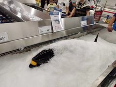-家乐福会员店(南翔店)