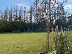 环境-上海长兴岛郊野公园