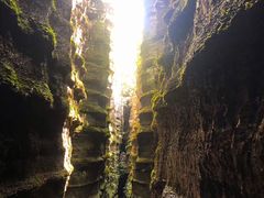 -梭布垭石林景区