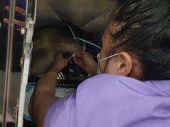 -瑞派康怡24h宠物医院·犬猫医疗中心·微创绝育(瑞景分院)