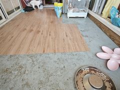 -楼上猫咖(罗湖店)