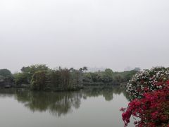 -海珠湖公园