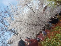 -西安青龙寺遗址景区