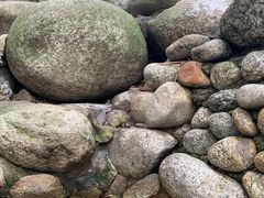 -三江森林温泉度假区